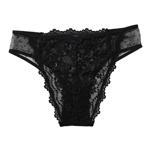 Lace See-through Women's Plus Size Cotton Crotch Underwear - Image 3